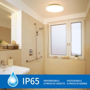 ANWIO Plafoniera LED Impermeabile Rotonda IP65 24W 2400LM Bianca Naturale 4000K φ330*50mm