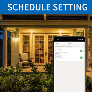 ANWIO Lampadina LED Smart Wifi Attacco E27 12W 1521Lm Pacco da 2 Unità