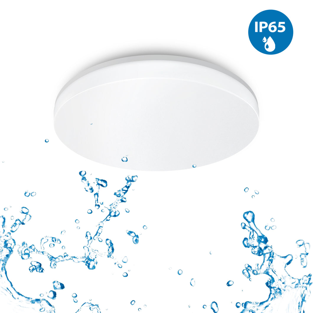 ANWIO Plafoniera LED Impermeabile Rotonda IP65 15W 1500LM Bianca Naturale 4000K φ220*50mm
